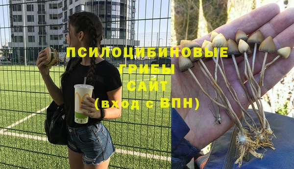дурь Алексеевка