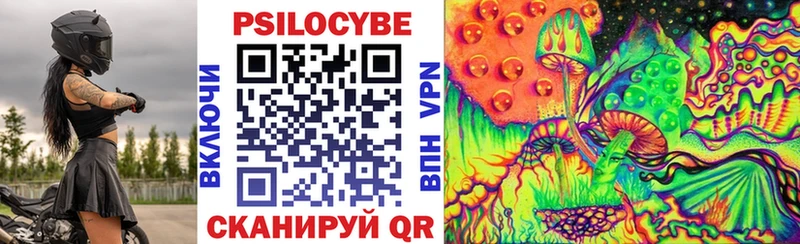 купить   Нея  Псилоцибиновые грибы Psilocybe 